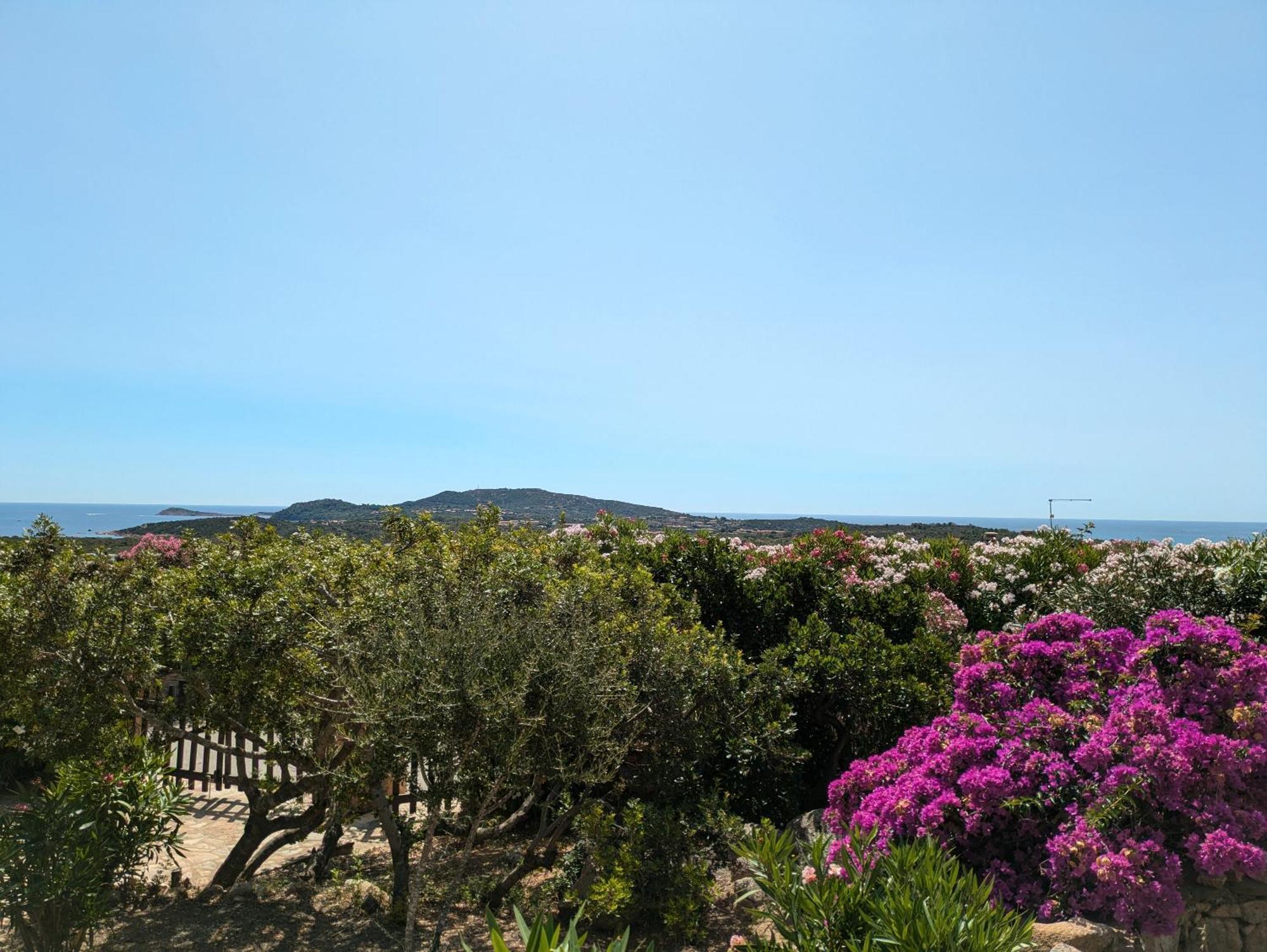 Villa Vista Mare Cala Ginepro Punta Molara Bagian luar foto